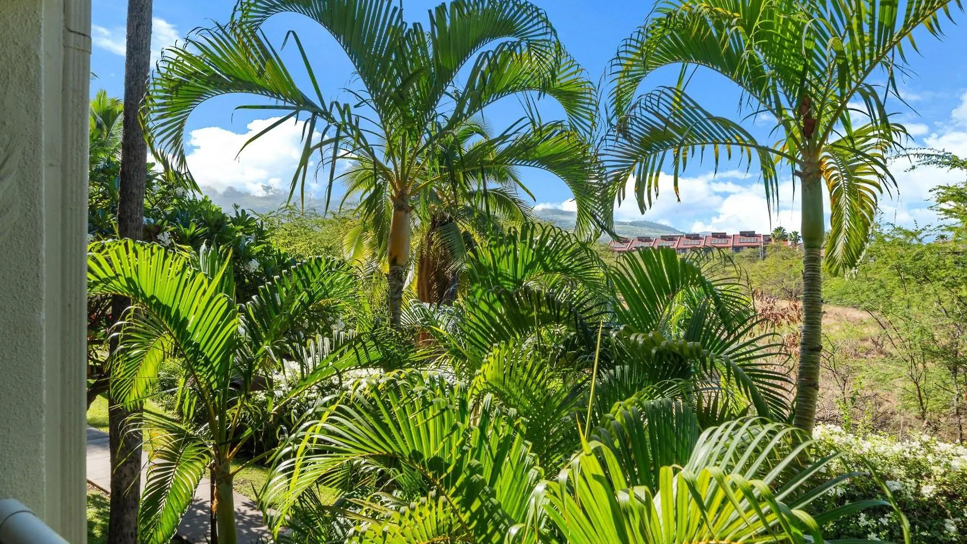 Maui Banyan H207 Vila Kihei 0*,  Estados Unidos da América